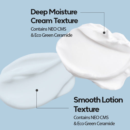 Cell Fusion C Expert Barriderm Intensive Set 1