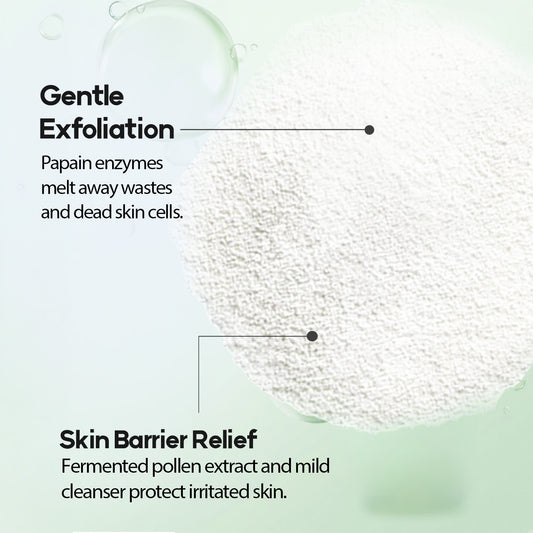 Cell Fusion C Expert Gentle Deep Powder Wash